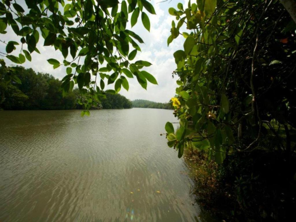Mangrove Escapes Resort ベントータ エクステリア 写真