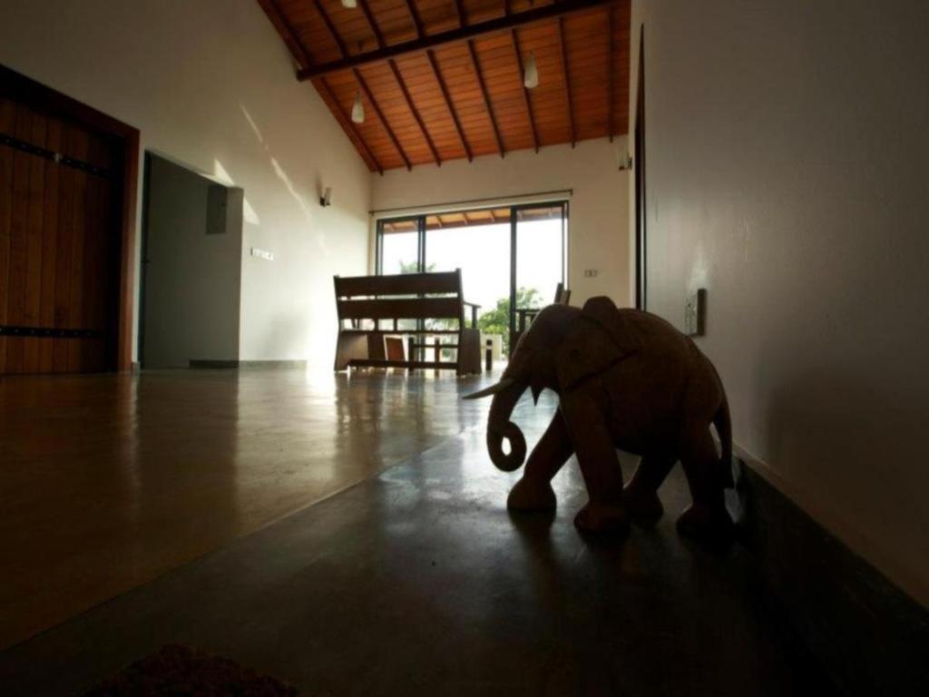 Mangrove Escapes Resort ベントータ エクステリア 写真
