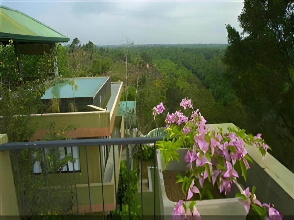 Mangrove Escapes Resort ベントータ エクステリア 写真