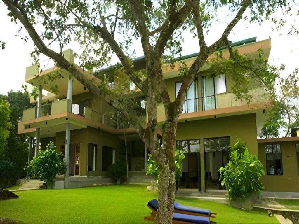 Mangrove Escapes Resort ベントータ エクステリア 写真