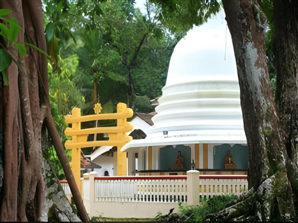 Mangrove Escapes Resort ベントータ エクステリア 写真