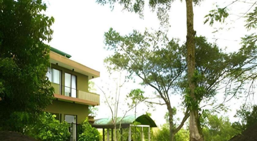 Mangrove Escapes Resort ベントータ エクステリア 写真