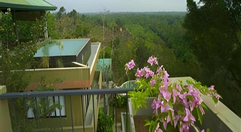 Mangrove Escapes Resort ベントータ エクステリア 写真