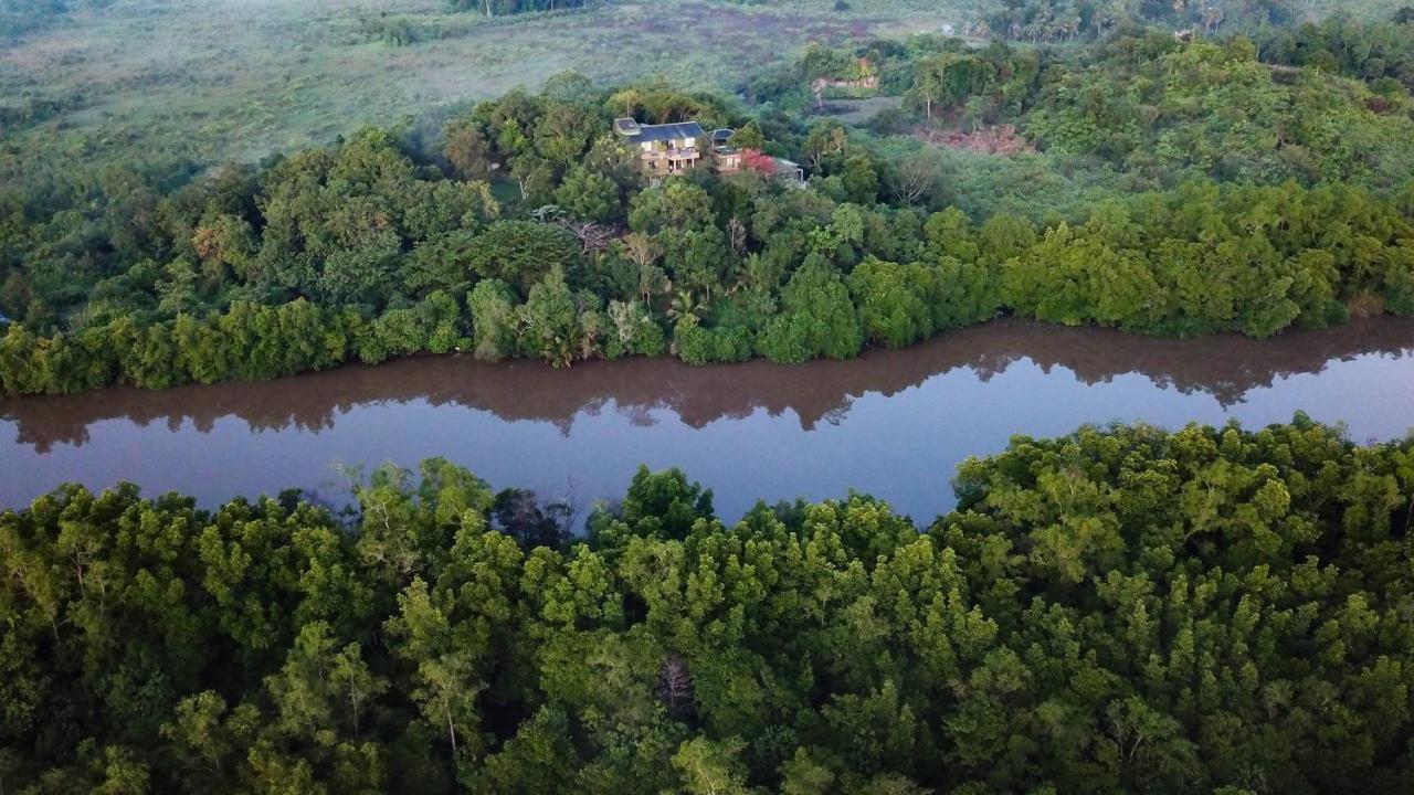 Mangrove Escapes Resort ベントータ エクステリア 写真