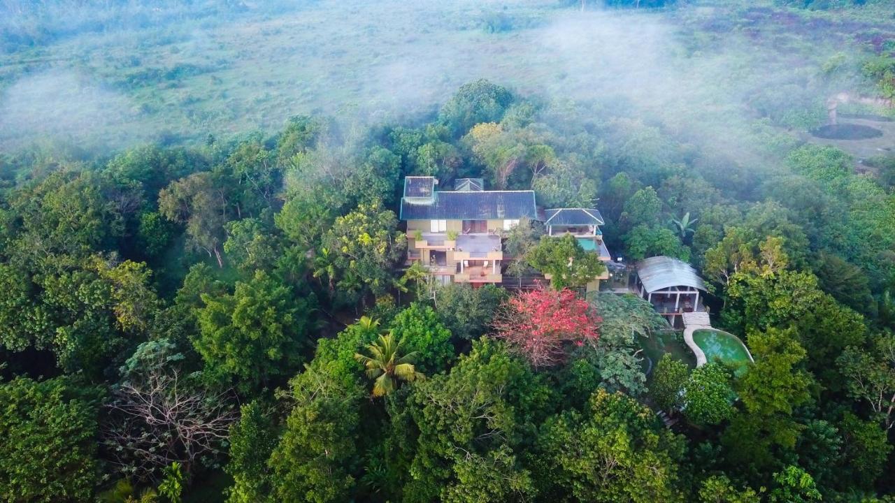 Mangrove Escapes Resort ベントータ エクステリア 写真